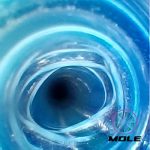MOLE-1mm.jpg